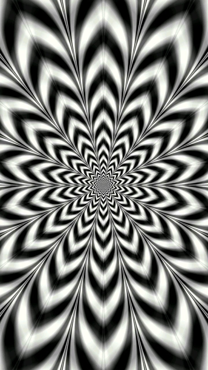 see it
