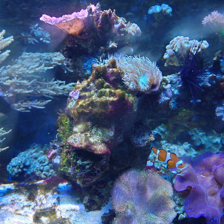 Acuario de Benalmádena Beach, Málaga