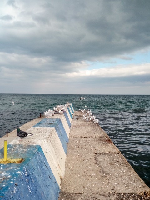Black Sea