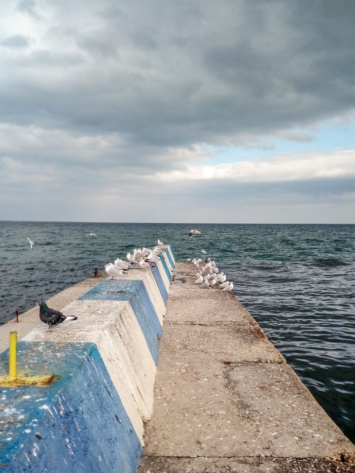 Black Sea