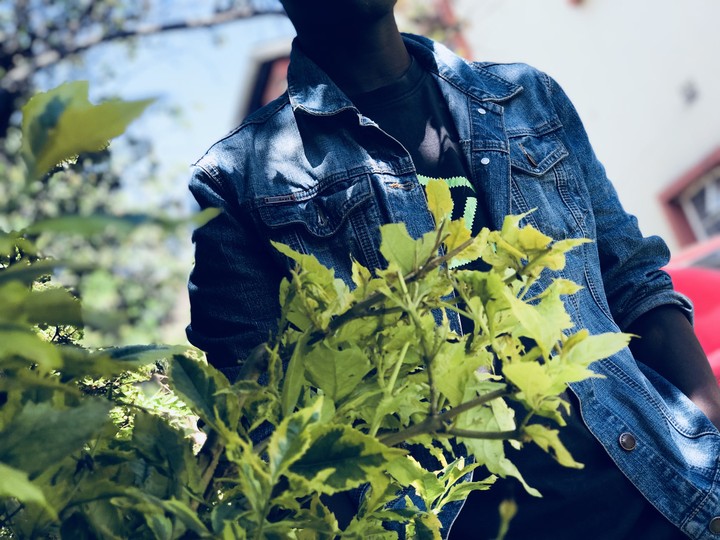 denim Khaemiz