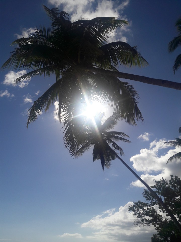 summer
