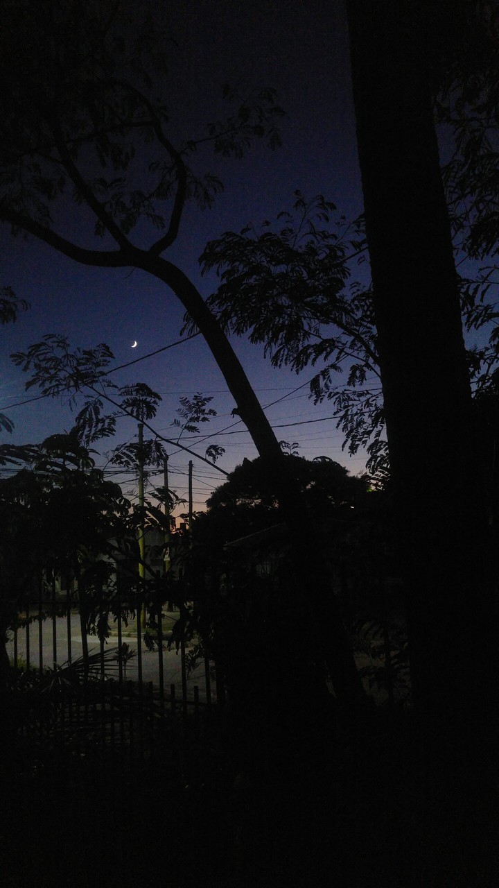 amanecer