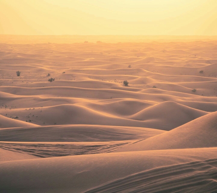 Thar Desert