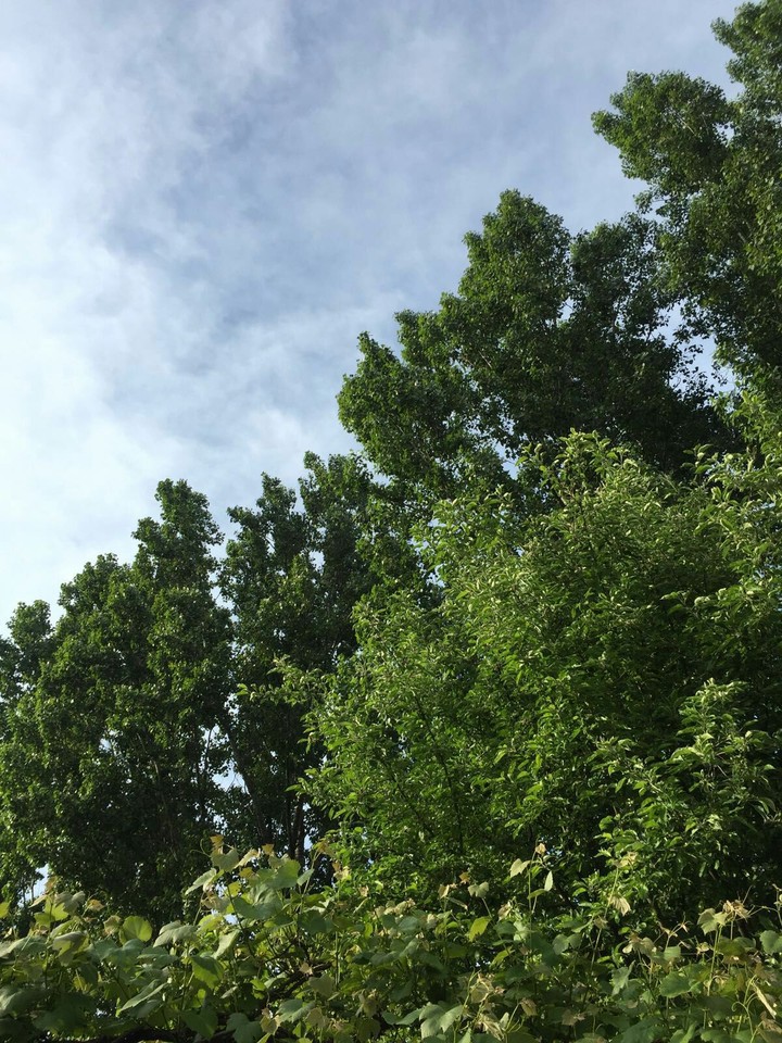 Nature