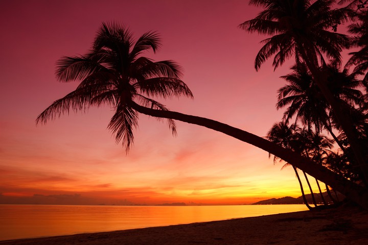 Tropical breeze