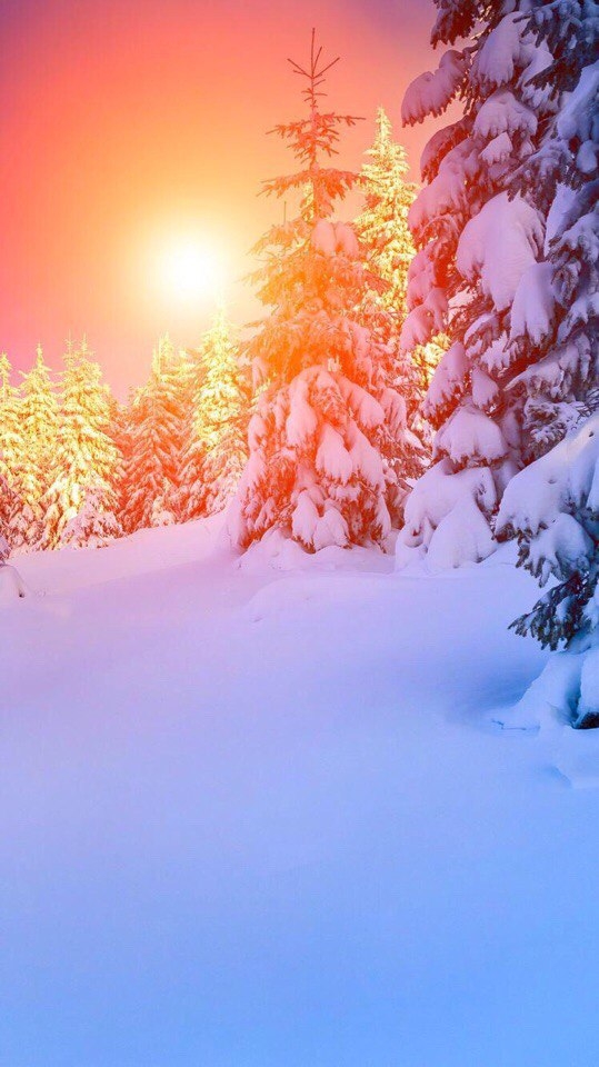 winter