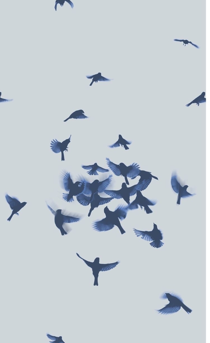 Wings..