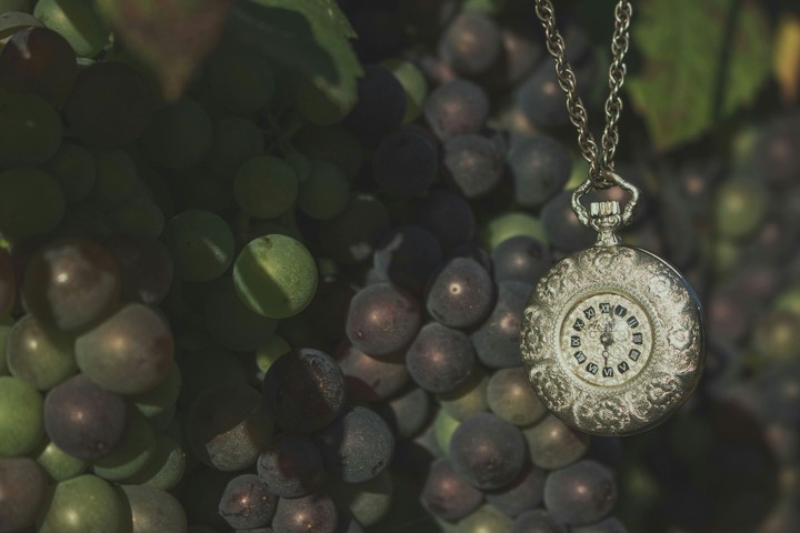 Time is suspended...