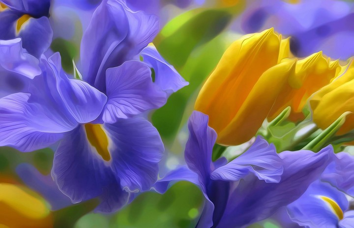 my flowers