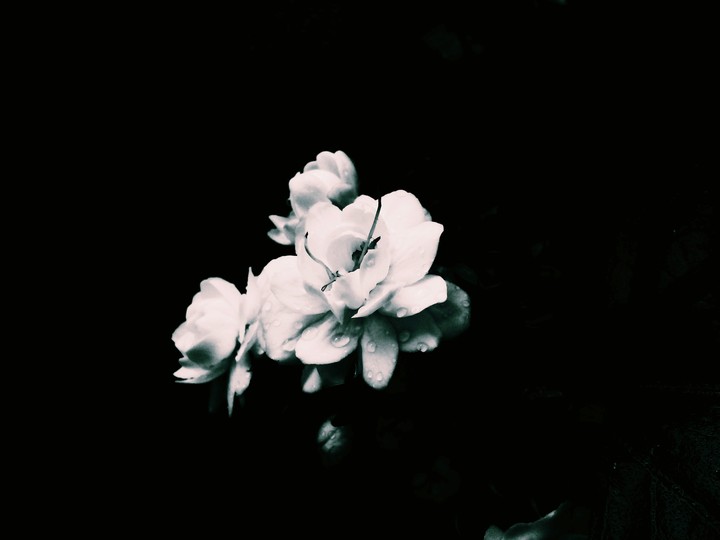 #Flower....