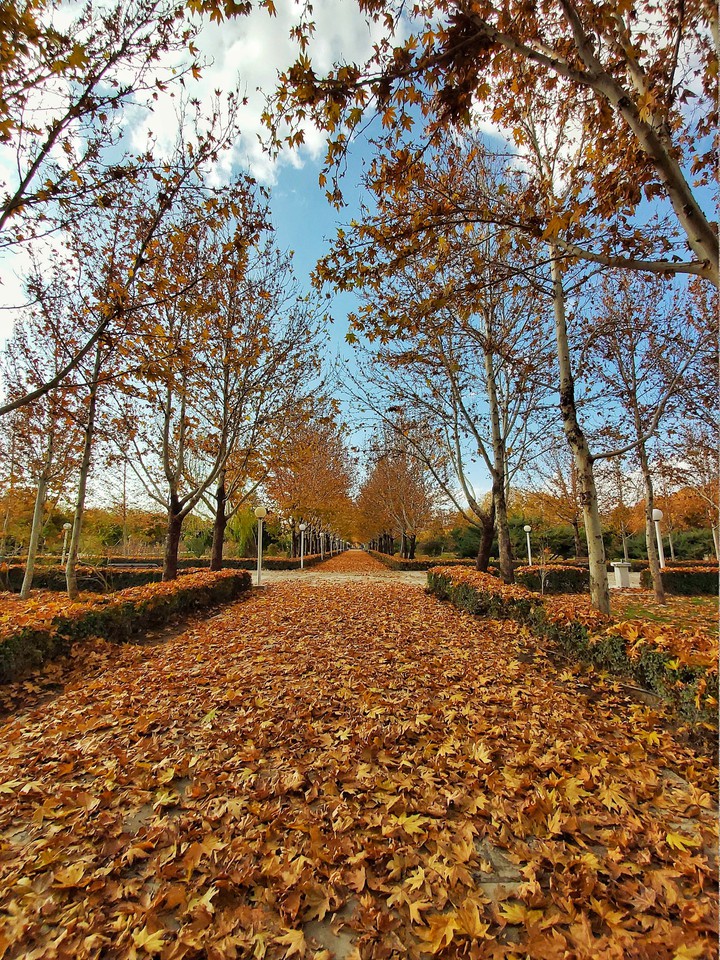 isfahan autumn