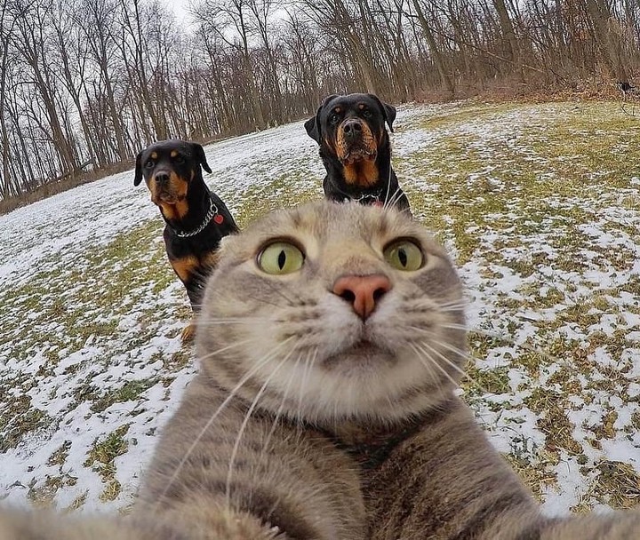 #selfie4