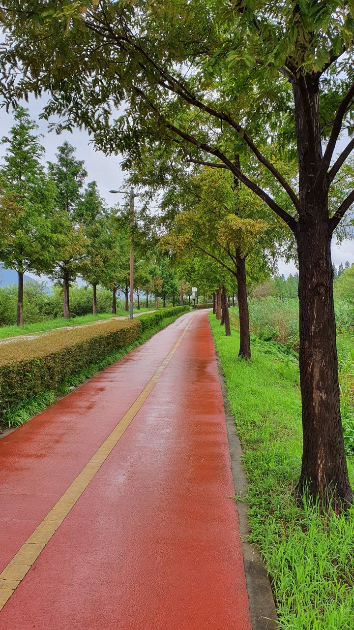 nature