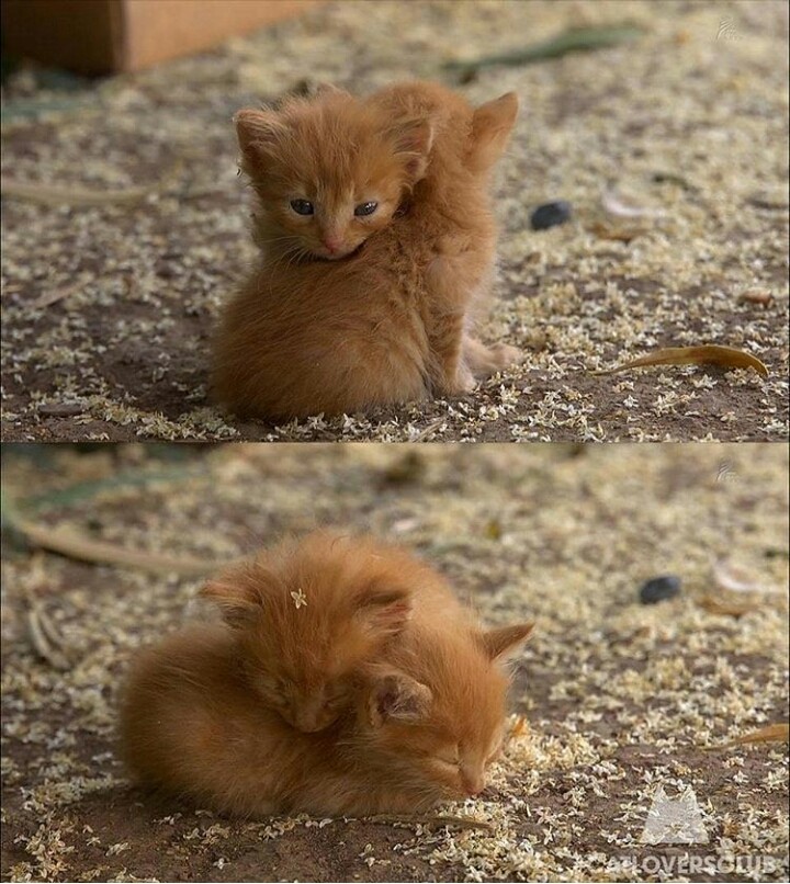 ?