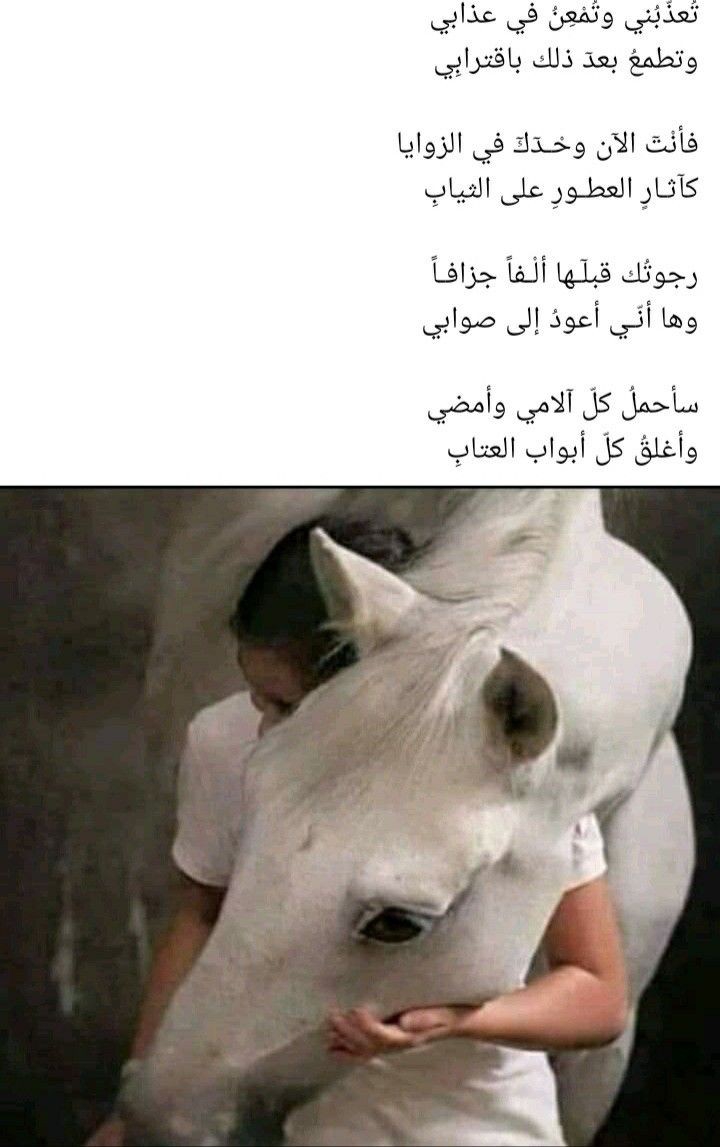،