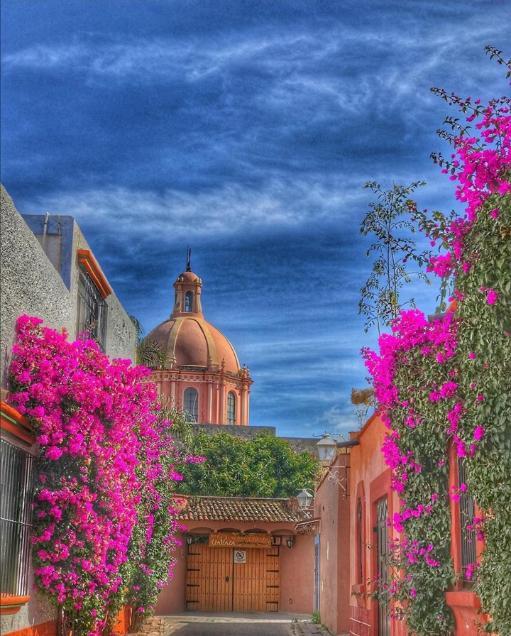paisaje colorido pink