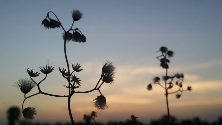 sunset !