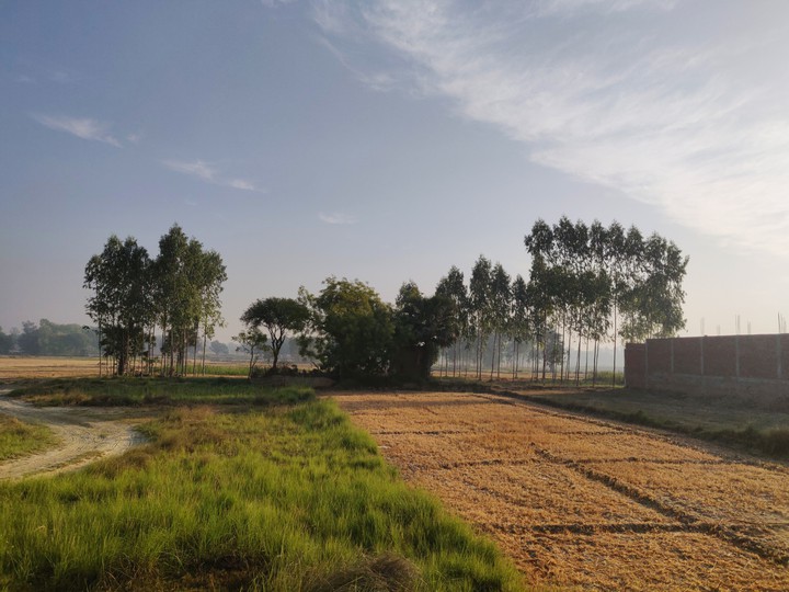 North India village