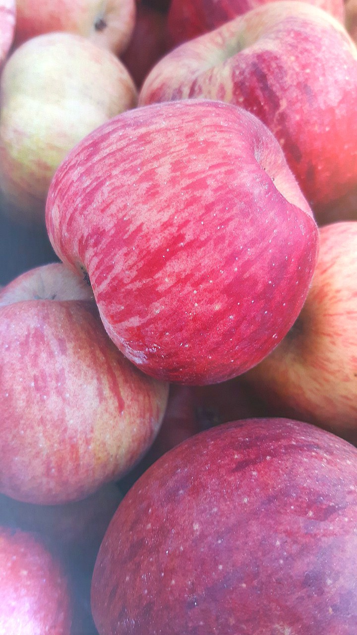 apple.