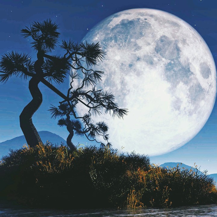 zen moon