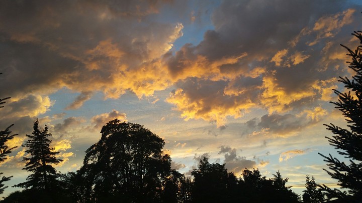 Golden Sunset