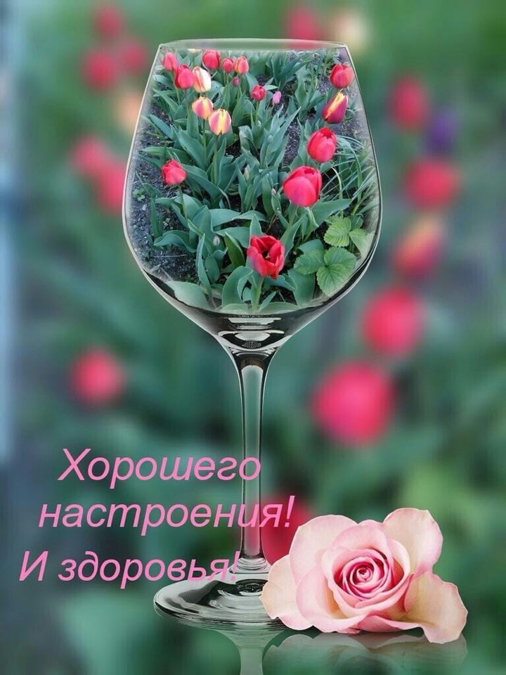 доброго дня
