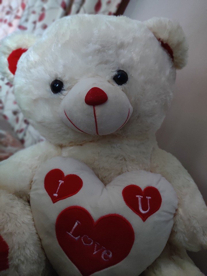 teddy