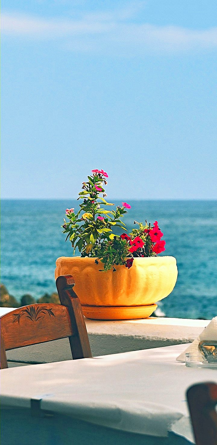 View..