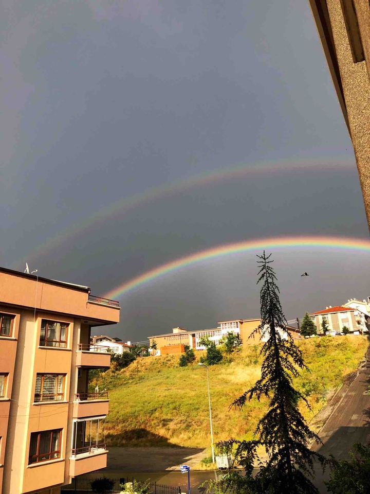 Rainbow