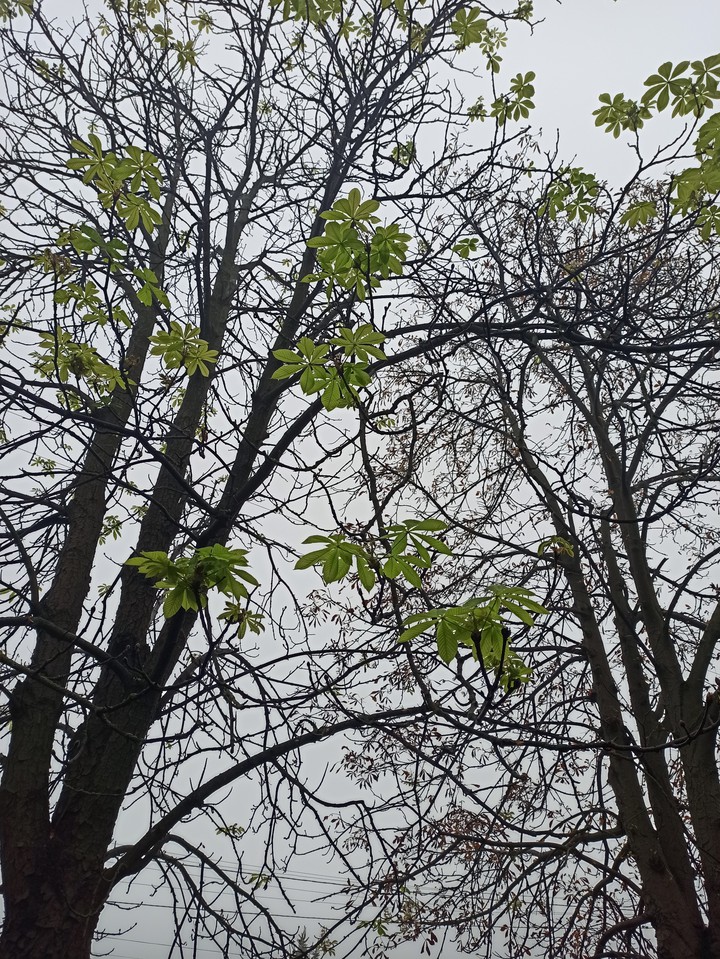 теплаяосень