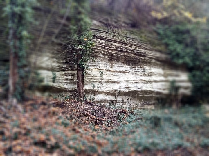 stone