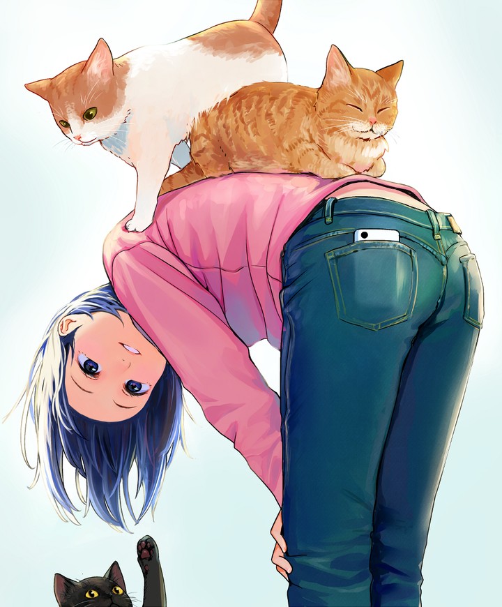 Anime and cat's