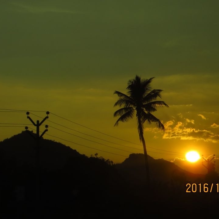 sunset