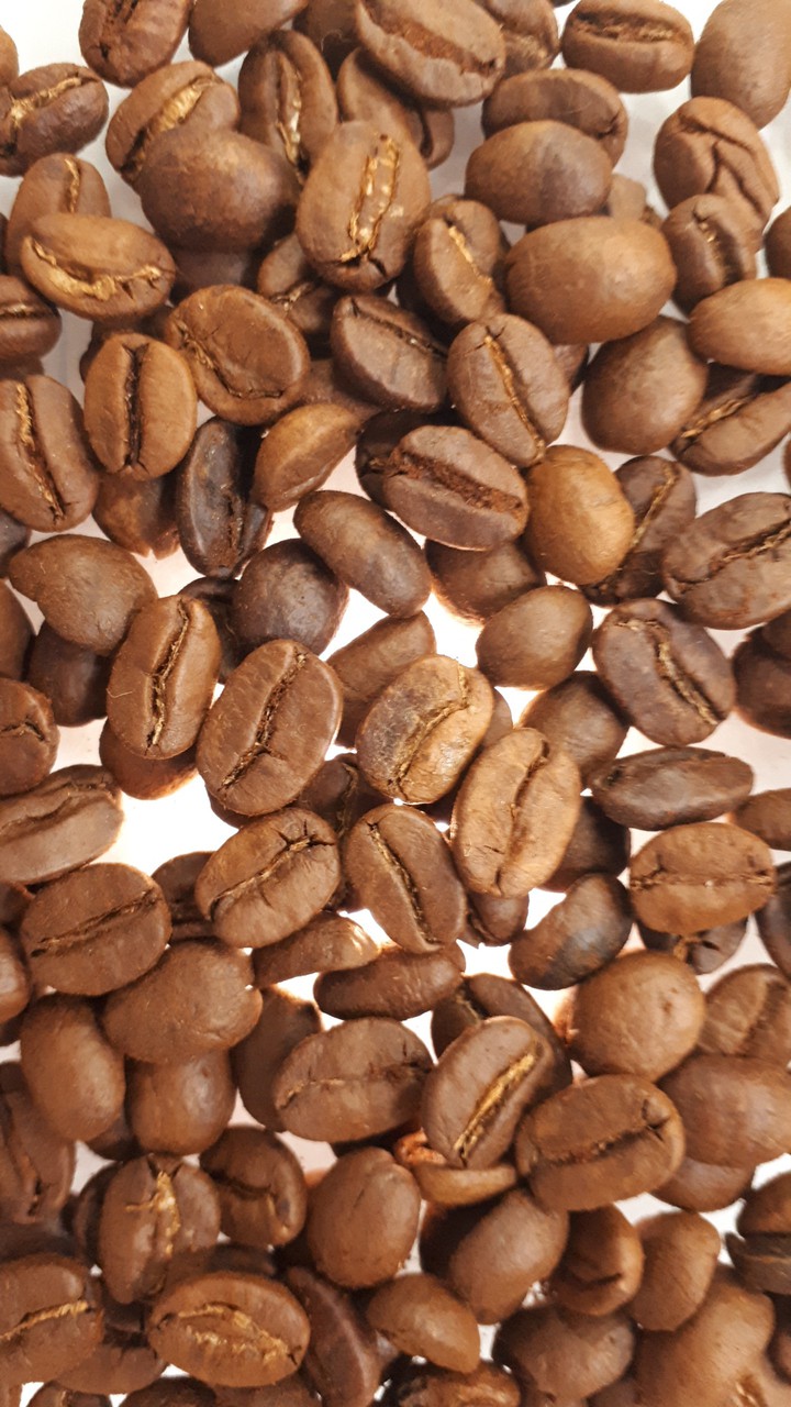 Coffee