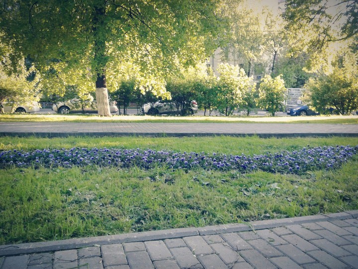 В парке