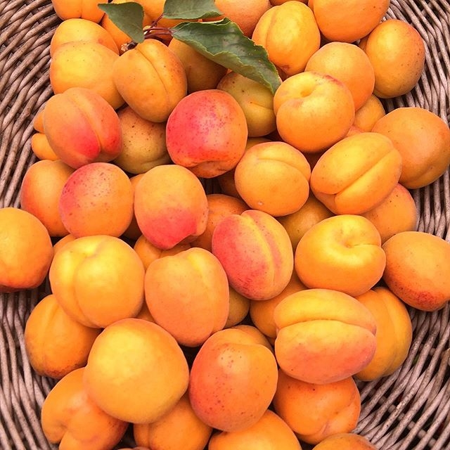 #ORANGE...