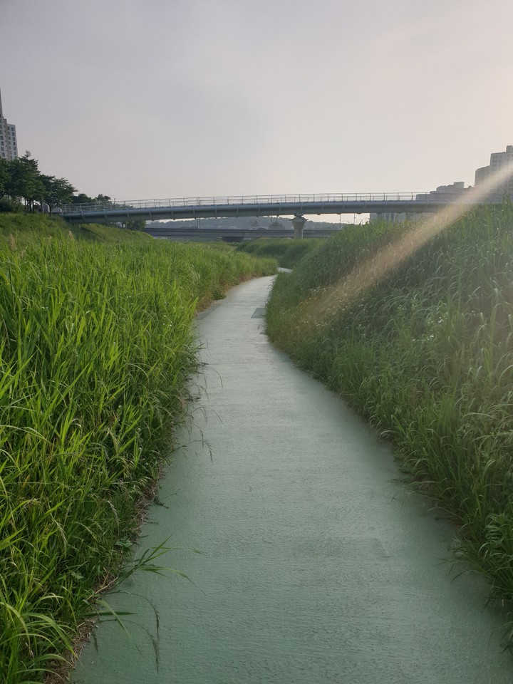 자전거