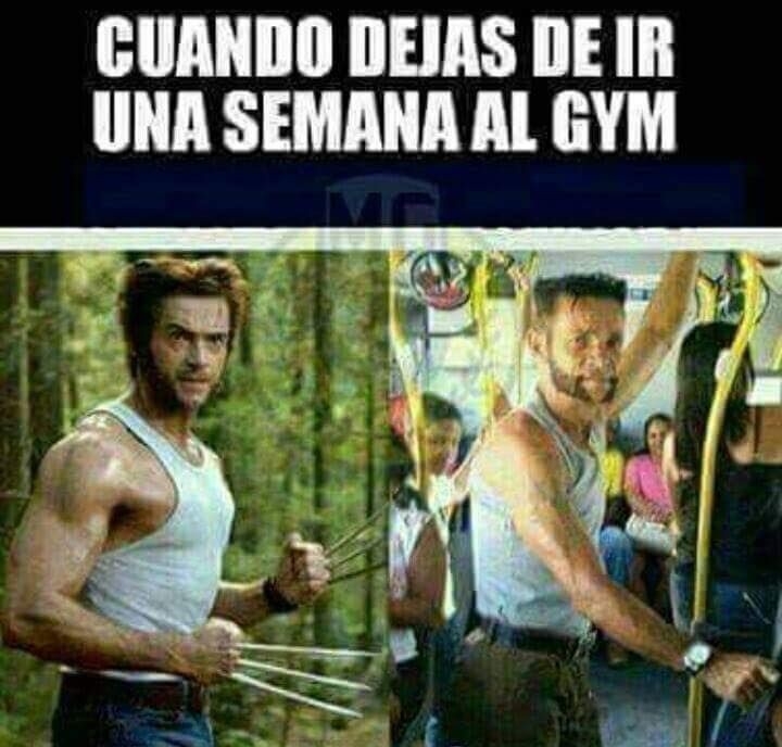 jajaja