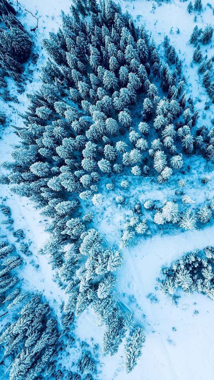 snow