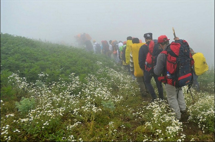 Jungele trekking