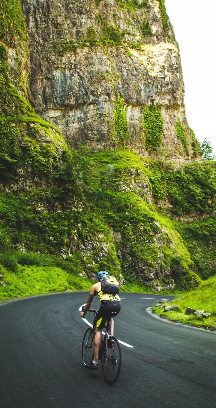 Vacation with green