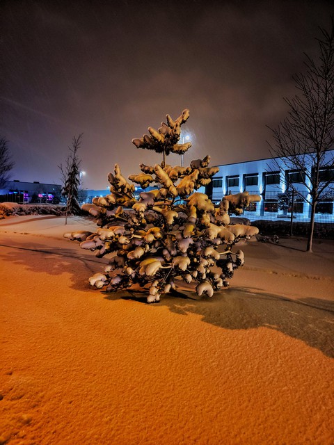 snow