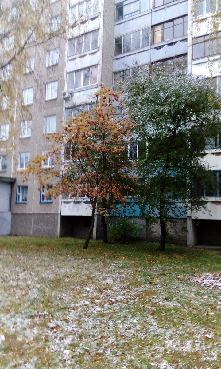 начало зимы)