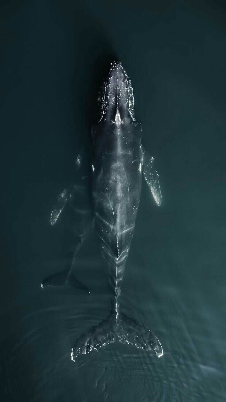 ocean