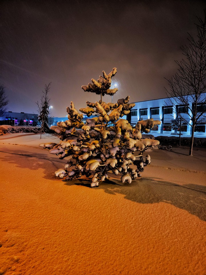 snow