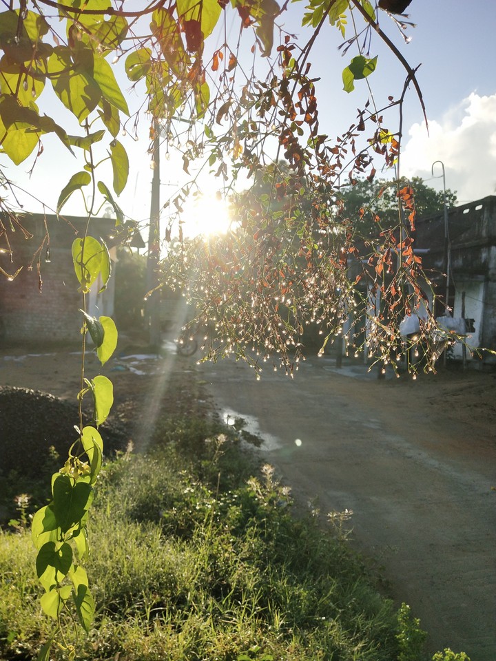 after rain