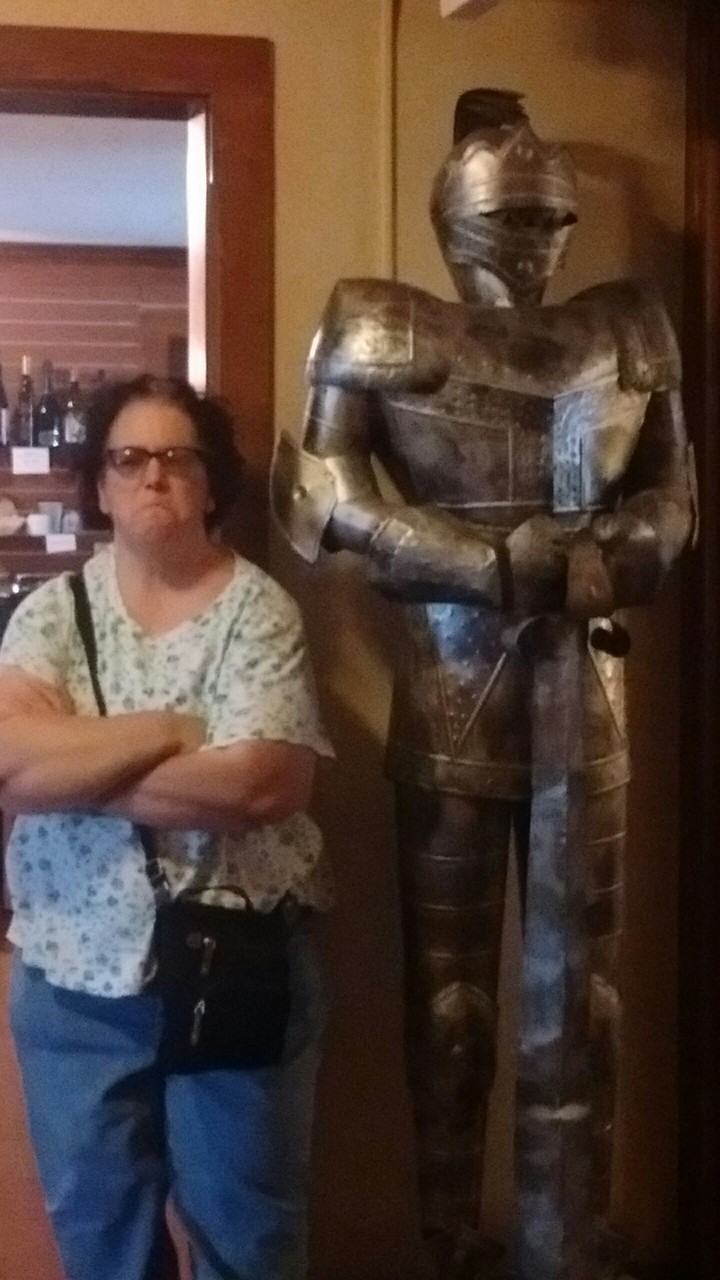 Knight In Shining Armor