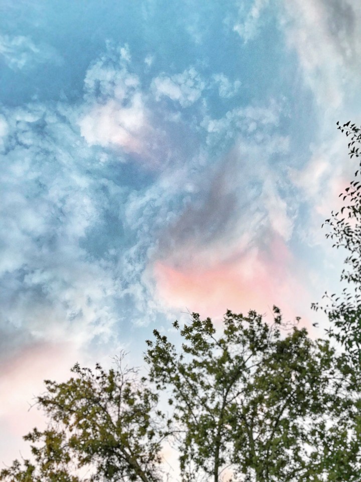pink cloud