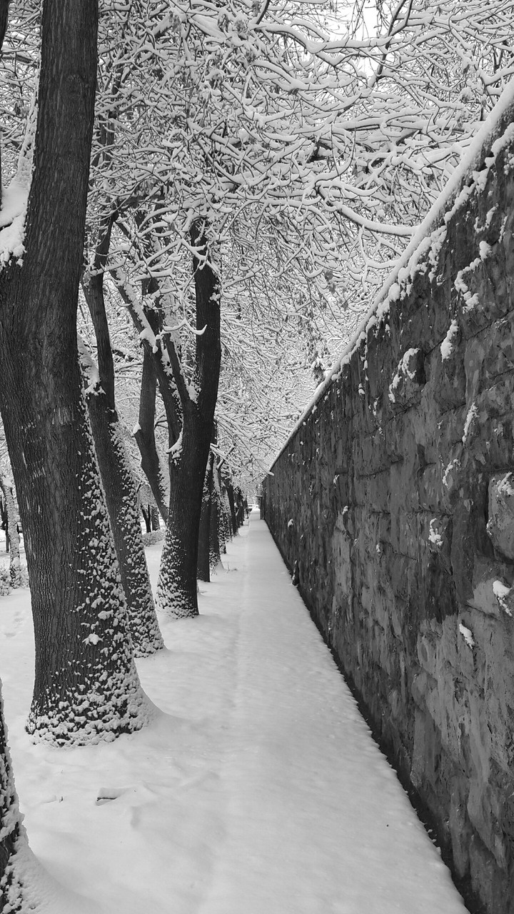 a snowy day!